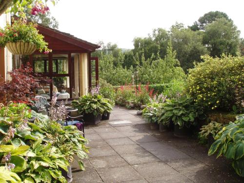 Forest How Guest House - image 7