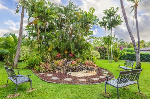 Garden, Maui Banyan Studio, King Bed, Steps to Kam2 Beach in Kihei (HI)