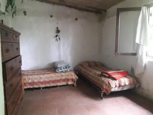 Shanti in San Esteban