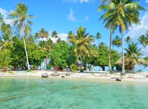 Bungalow Tipanier - Vue parfaite in Raiatea