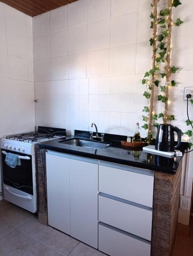 City Cabin, Uspallata (foto 4)