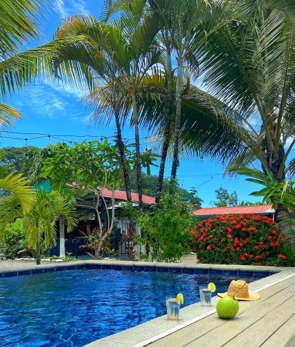 Rooms & Pool Macaws