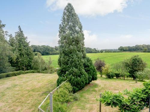 Viesnīcas āriene, Hilley Holey in Woodbastwick