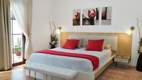 Casa Isabel in 普拉亞本田