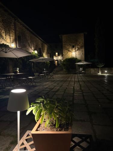 Castello di Viano 3