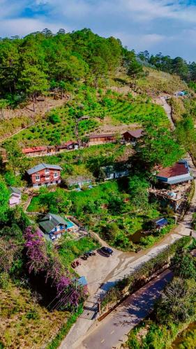 Huha's Farmstay Đà Lạt - 주변 환경