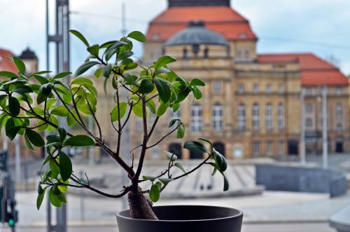 Hotel an der Oper - image 2