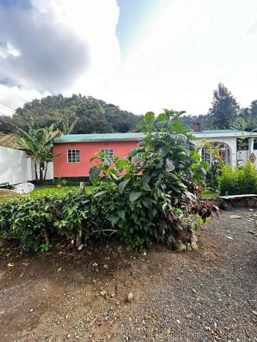Bomani House in Arusha