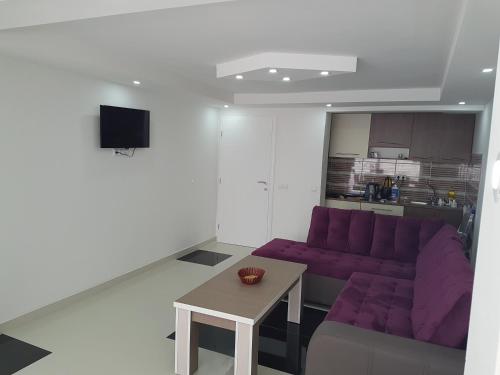 Apartments Mesic