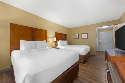 Comfort Inn & Suites Carbondale - image 5