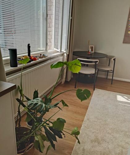 Cozy Ullanlinna Flat near Sea & City Center, Helsinky (fotografie 8)
