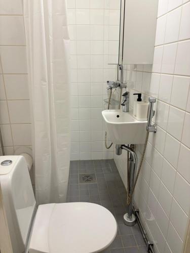 Renovated studio in the middle of culture, Helsinki (foto 8)