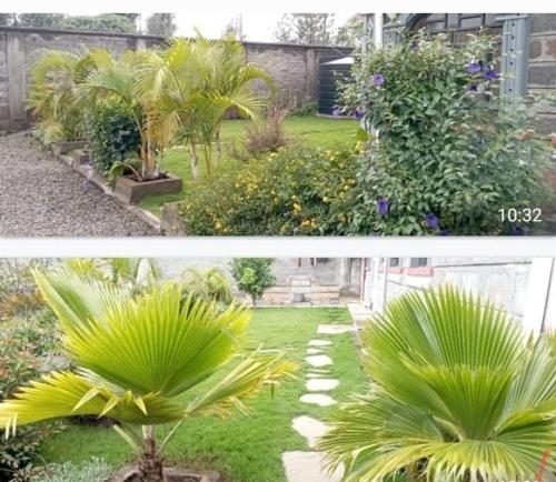 Uitzicht, Menengai Gardens in Nakuru