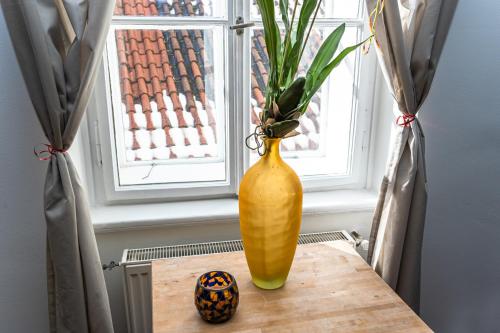 Spacious elegant apartment at the Old Town Square, Praga (foto 3)