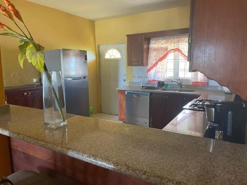 Panoramic Ocean View in Basseterre