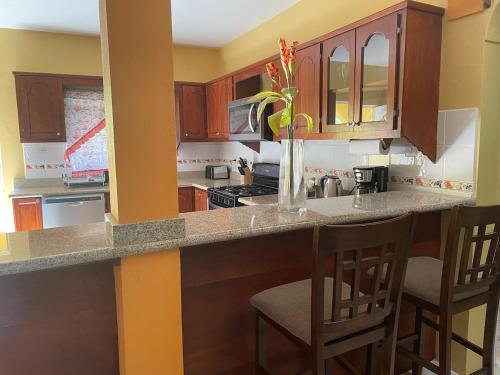 Panoramic Ocean View in Basseterre