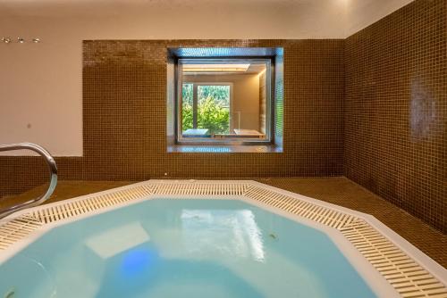TH Cadore - Hotel Antelao in Borca di Cadore