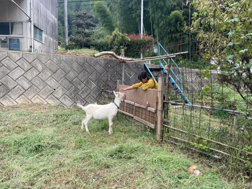 ISHIZUCHI Villa HANA