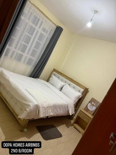 Dopa Homes Airbnbs in Meru