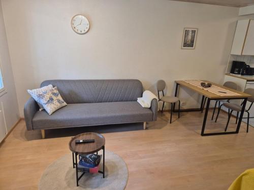 Rivitalo kylpylan lahella in Ikaalinen