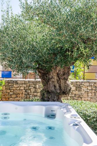 Iekārtas, Secret d'Uzès - Le Duché - Piscine chauffée et Jacuzzi (Secret d'Uzes - Le Duche - Piscine chauffee et Jacuzzi) in Aubussargues