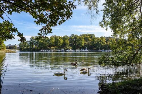 Lakefront Getaway in Hagaparken Central Stockholm, Stoccolma (foto 5)