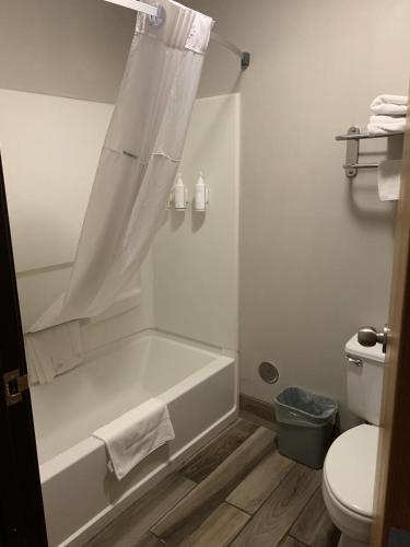 3 queen beds, 1 sofa bed