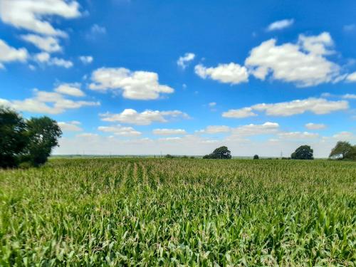 숙소 외관, The Fold in 바싱스톡 시티 센터