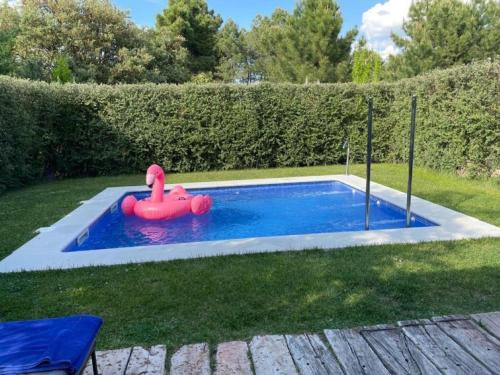 Suite, junior, piscina privada