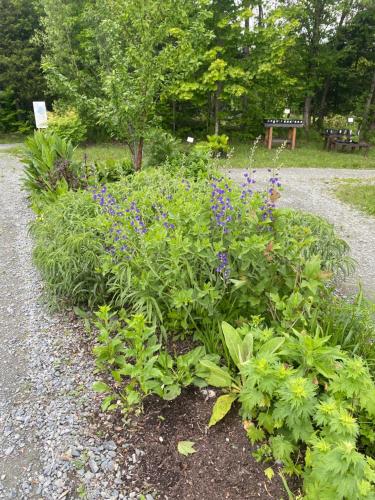 Gites des Jardins in ออร์ฟอร์ด (QC)