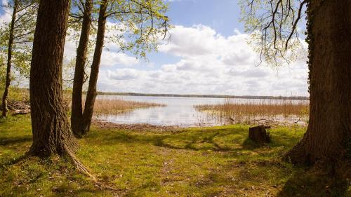 ทัศนียภาพภายนอกโรงแรม, Ferienhaus Friedrichsmilde in อเรนด์เซ (อัลท์มาร์ค)