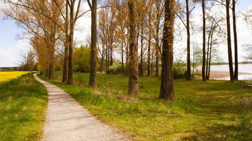 ทัศนียภาพภายนอกโรงแรม, Ferienhaus Friedrichsmilde in อเรนด์เซ (อัลท์มาร์ค)