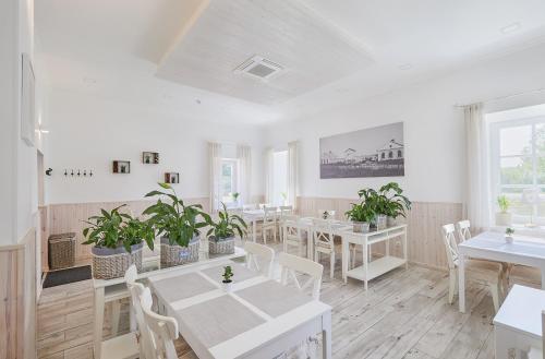 酒吧/Lounge Bar, Arklių Pašto Stotis (Arkliu Pasto Stotis) in 巴爾寧凱