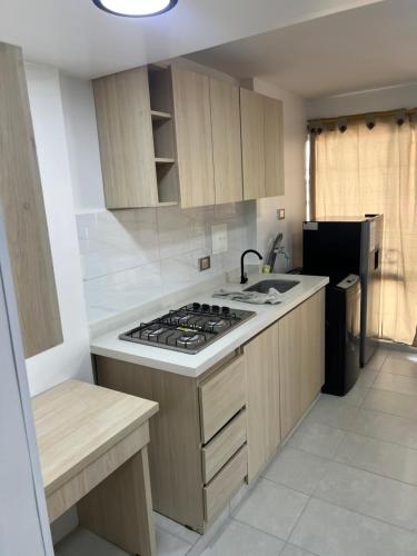 ห้องครัว, Apartamento San Francisco BUC near สนามบินนานาชาติปาโลเนโกร