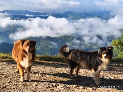 Ca' le Stelle in บรีซีเญลลา