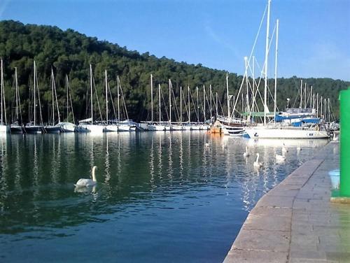 Apartment Loris in Skradin Center