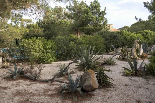 Villa Con Piscina a Carloforte