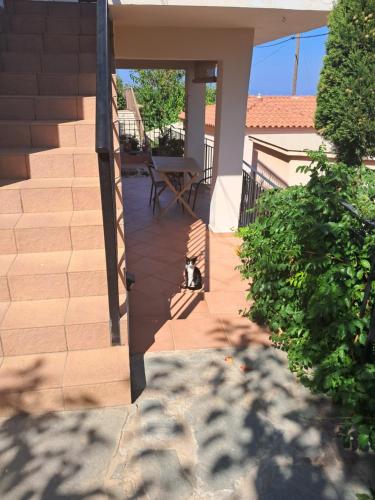 Akros-cottage on mountain- ground floor in Valeontades