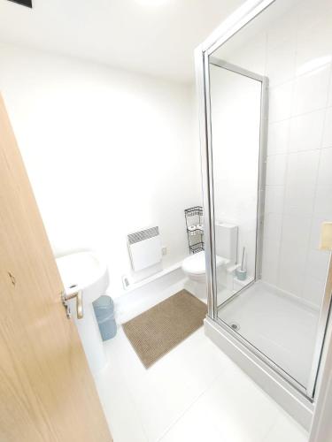Modern 2 Bedroom Flat close to City Center Camp Street, Manchester (foto 10)