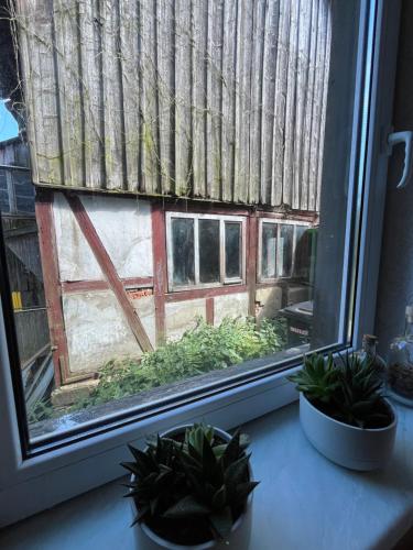 Fuchsbau in Ellrich