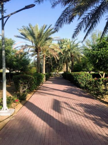 High Rise Studio Pool Gym Binghatti Gardenia JVC, Dubaj (zdjęcie 10)