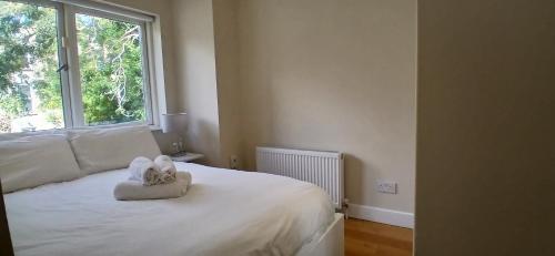 Beautiful 3BD Home Beside Phoenix Park - image 6