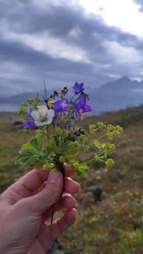 Surrounding environment, Berunes HI Hostel in Djupivogur