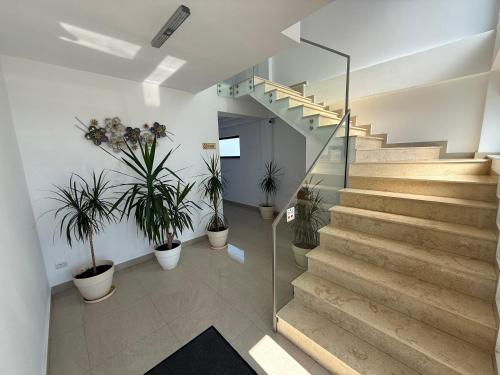 Silver Residence Caracal