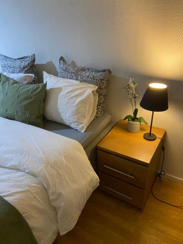 Studio Apartment in Gothenburg, Göteborg (foto 2)