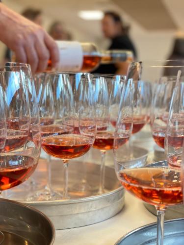 Vinotel Augustin 4