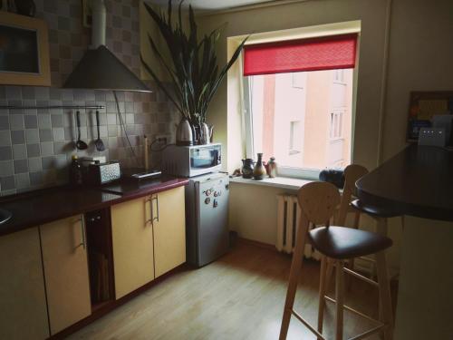 Green Hall apartment - main image