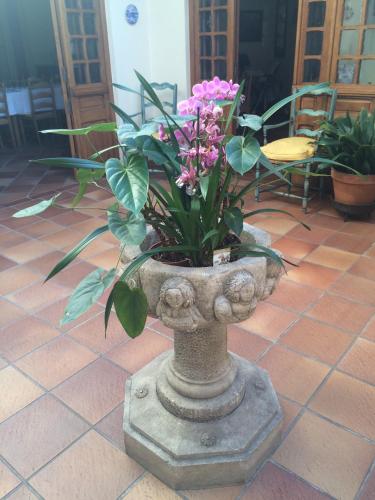 Mas de Vence - Hotel-Restaurant - image 6