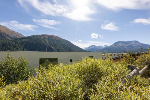 Apartment in a sunny location in Samedan, Samedan (fotografie 6)