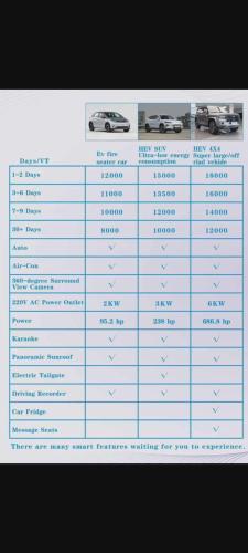 Backpackers in Paradise in Efate